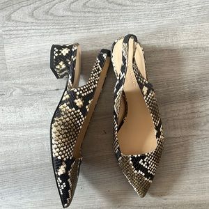 Everlane Editor Slingback Snakeskin Heels Size 7